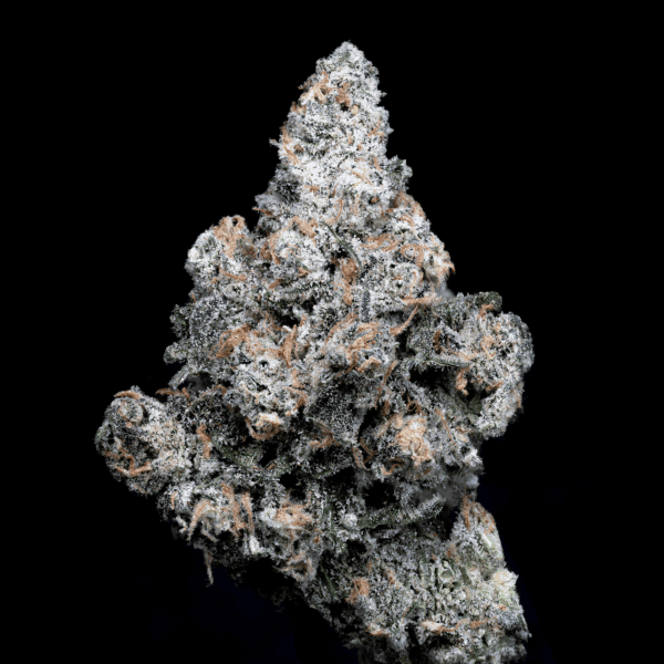 Quality Blue Dream THCa hemp flower for wellness.