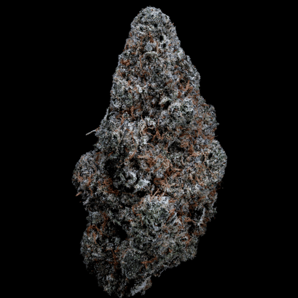 Hemp flower bud with frosty trichomes, rich in THCa, ideal for cannabis enthusiasts.