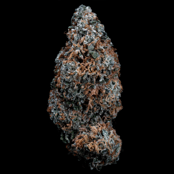Quality cannabis bud with frosty trichomes and vibrant orange pistils. Perfect for dispensary sales.
