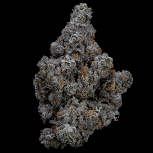 Premium Moneyball THCa hemp flower for wellness and relaxation.