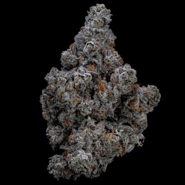 Premium Moneyball THCa hemp flower for wellness and relaxation.