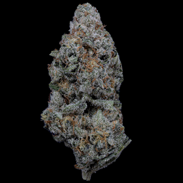 THCa Hemp Flower - Kimbo Kush Indica strain for relaxation and wellness.