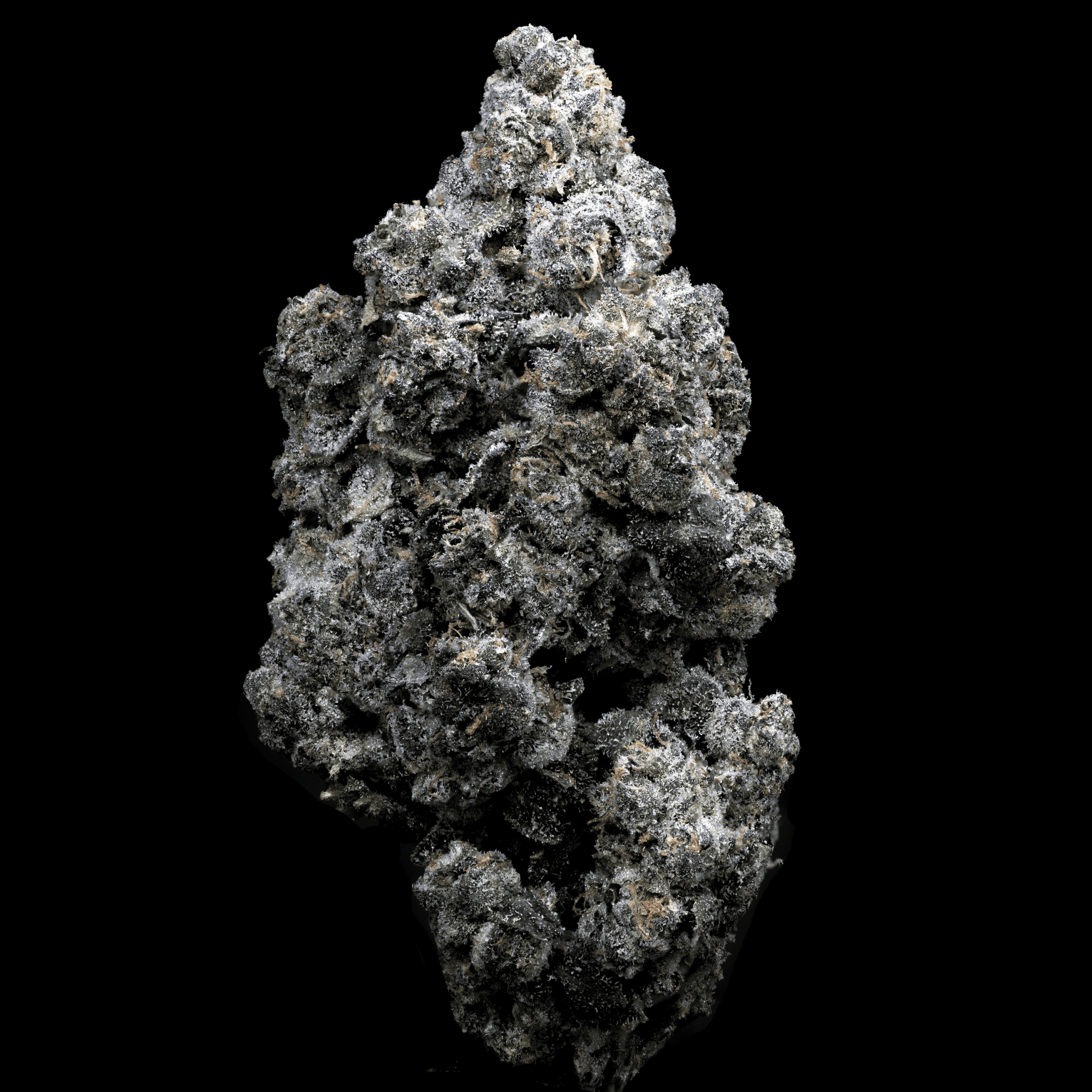 Quality Planet Sherb THCa hemp flower with frosty trichomes.